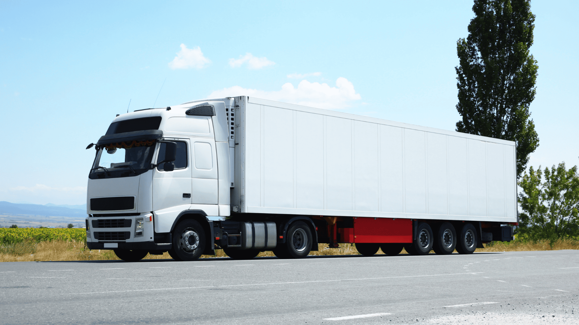 Frigo Tır (Soğutuculu)