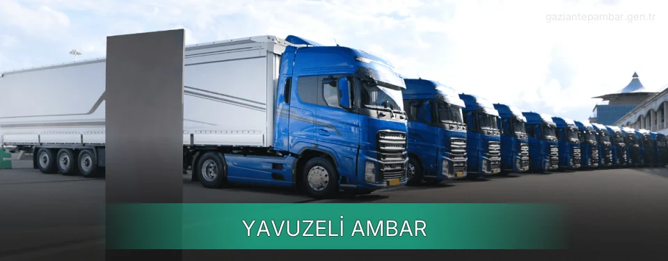 Yavuzeli Ambar